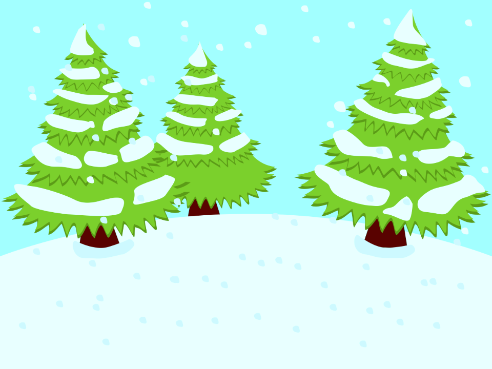 Winter coniferous trees