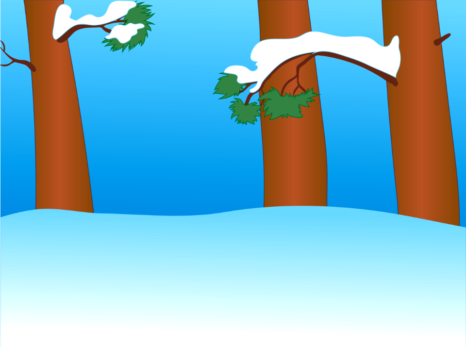 Winter forest