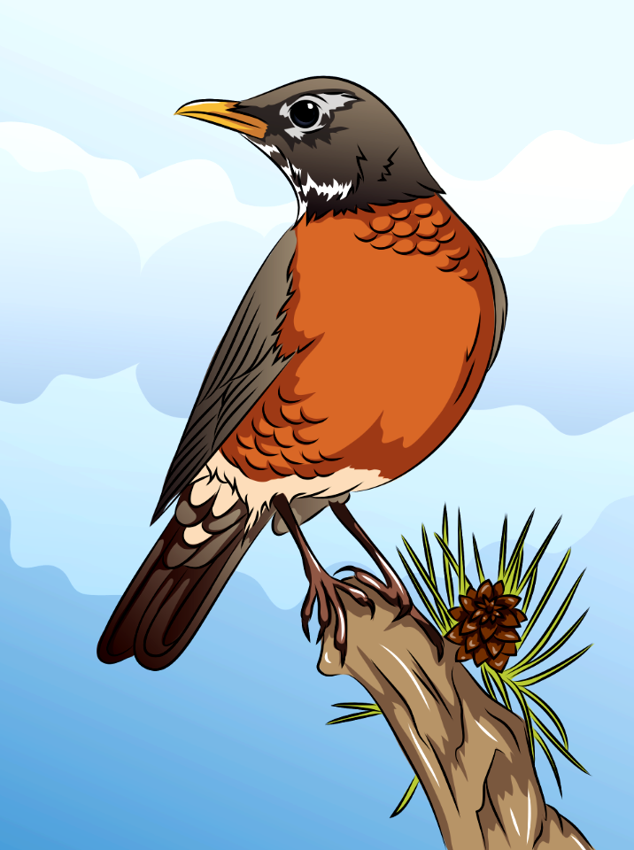 American Robin on the Branch