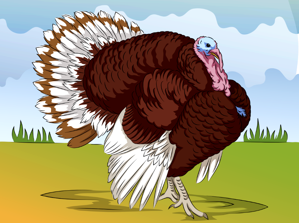 Bourbon Red Turkey