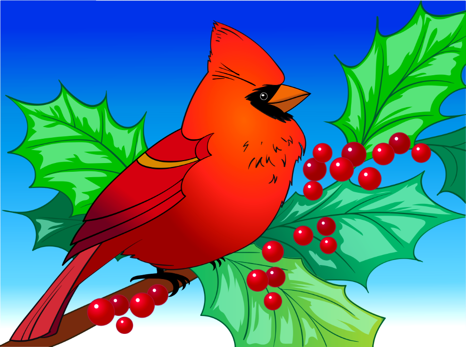 Cardinal