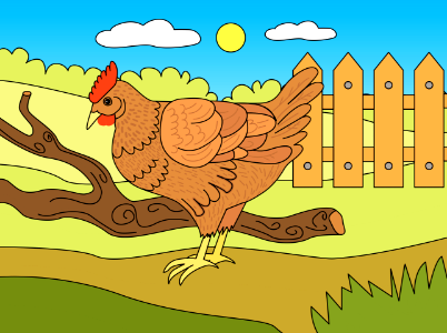 Chicken