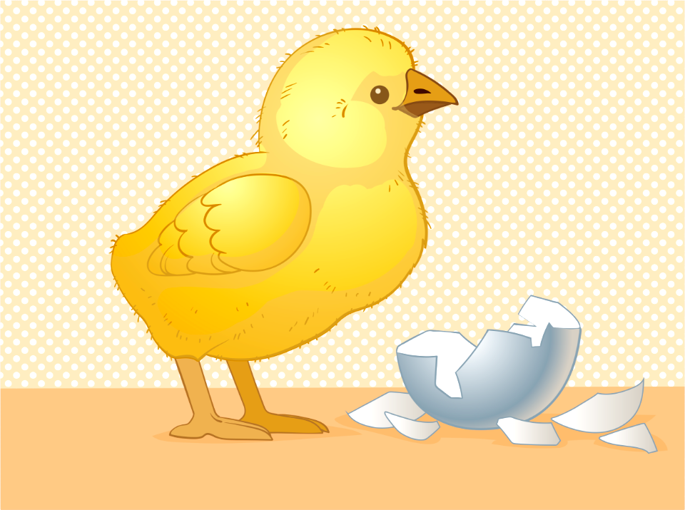 Chick