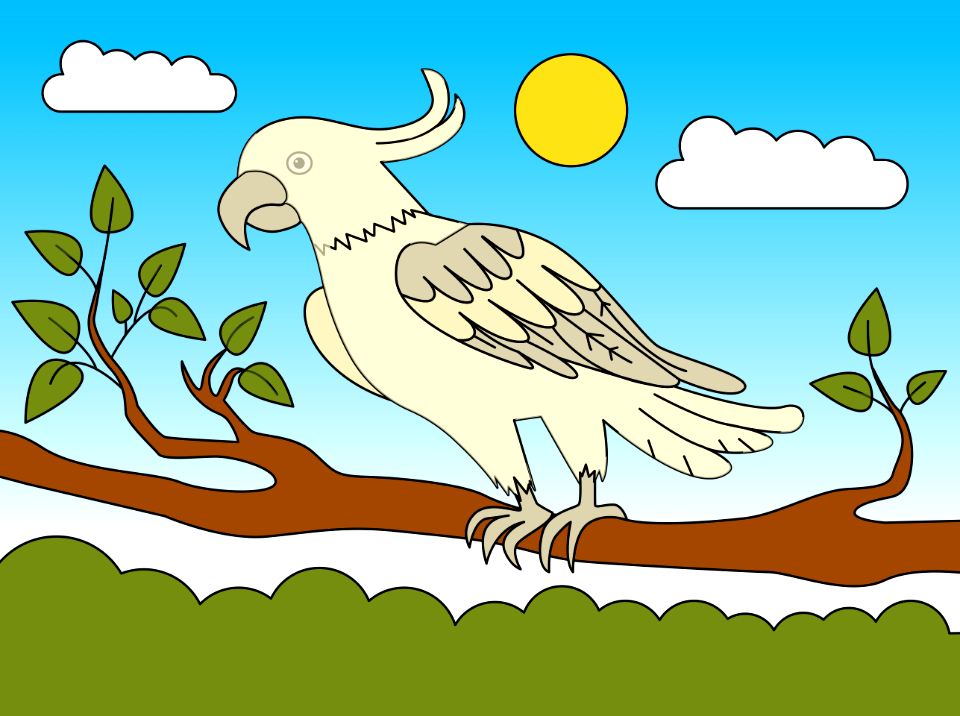 Cockatoo