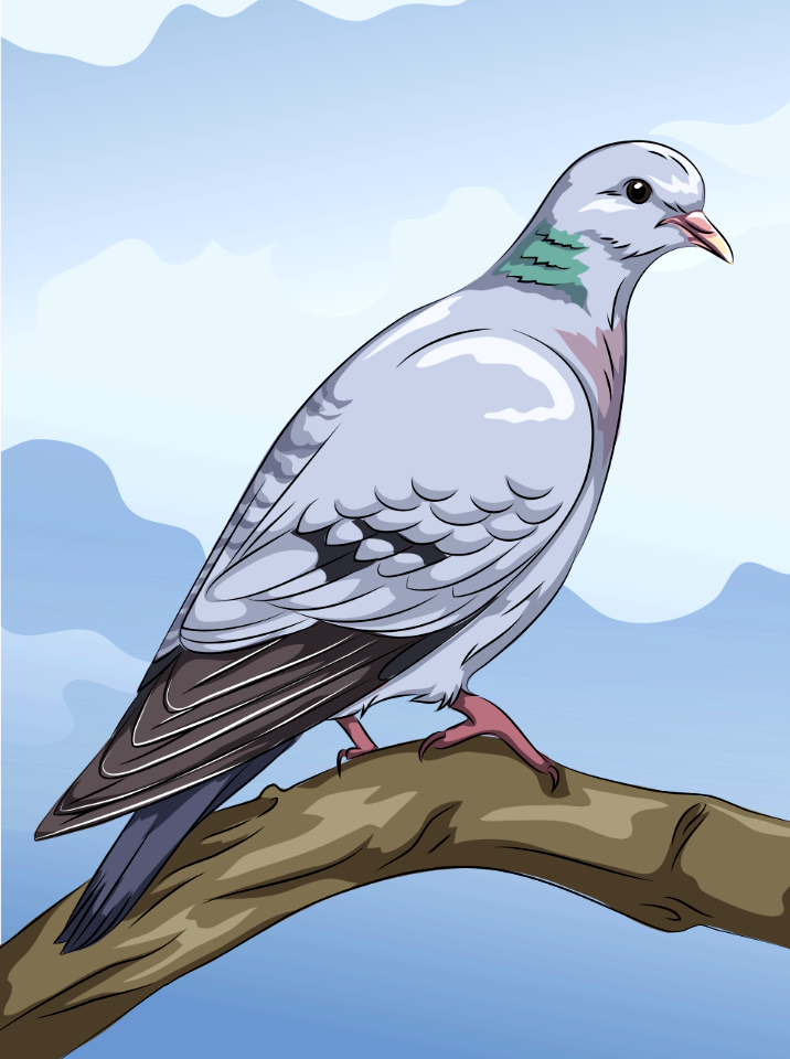 Dove