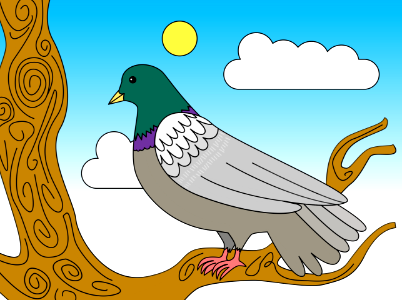 Dove