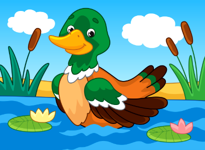 Duck