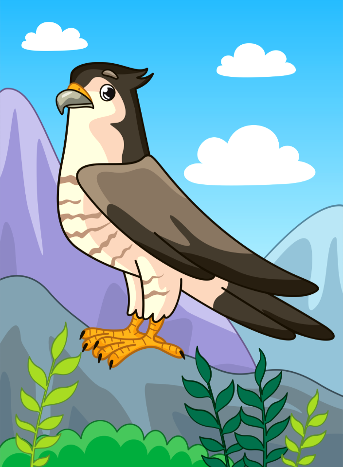 Falcon