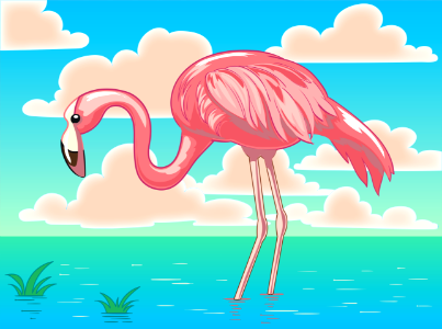 Flamingo