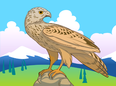 Hawk