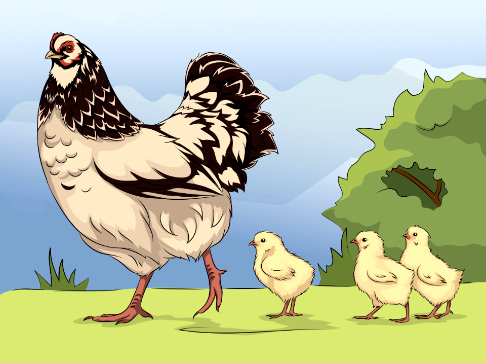 Hen and Chicks