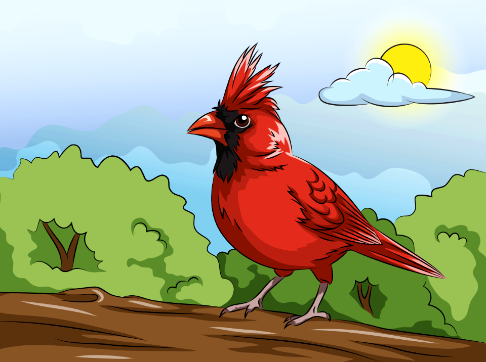 Northern cardinal