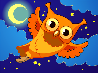 Owl