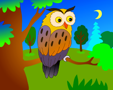 Owl
