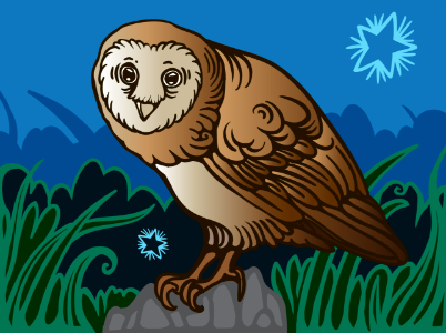 Owl