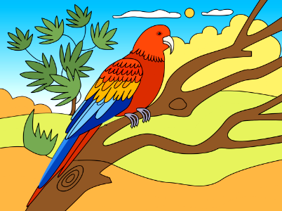 Parrot