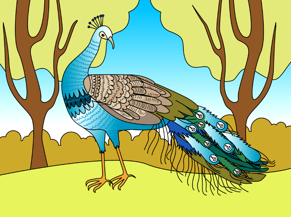 Peacock