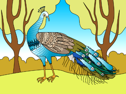 Peacock