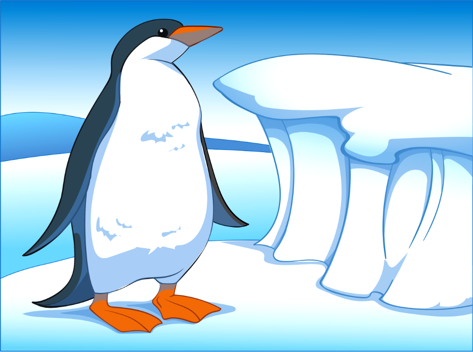Penguin