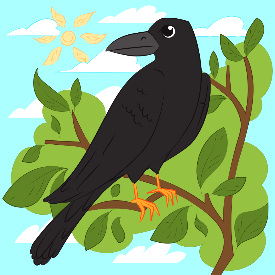 Raven