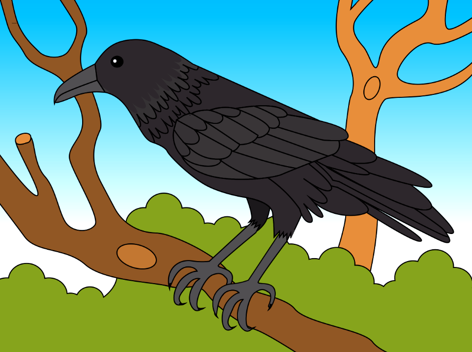 Raven