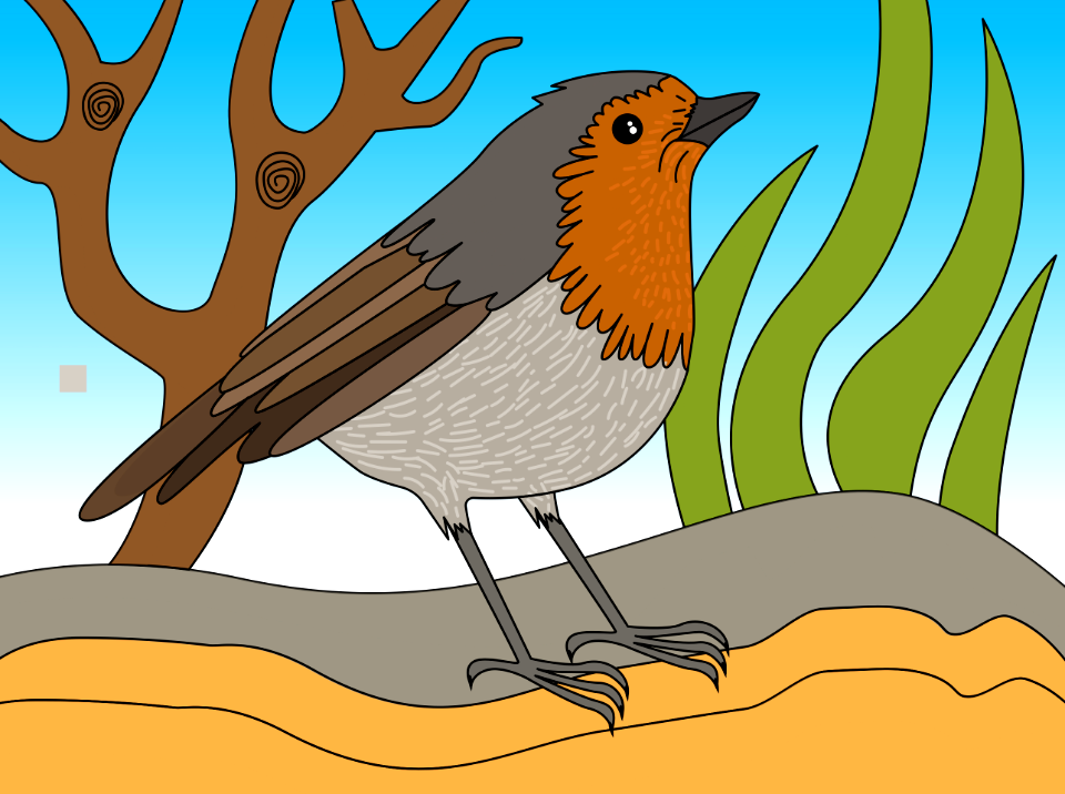 Robin