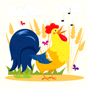 Rooster