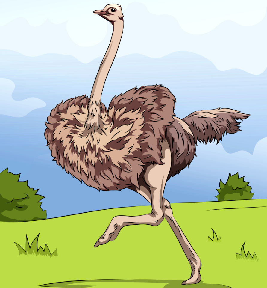 Running-ostrich