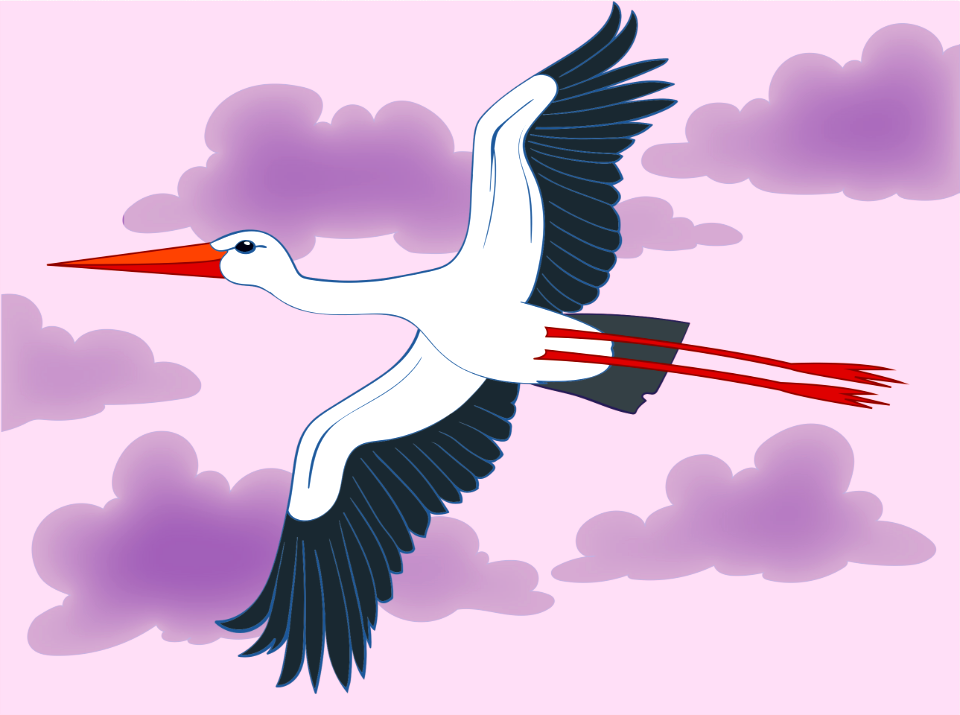Stork