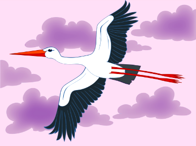 Stork