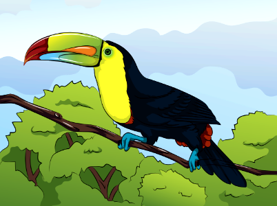 Toucan-bird