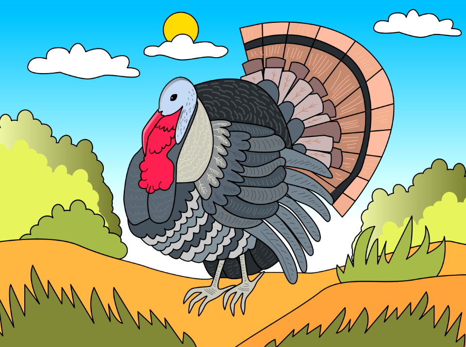 Turkey