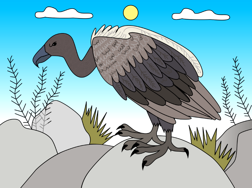 Vulture