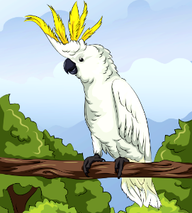 Yellow-crested-cockatoo