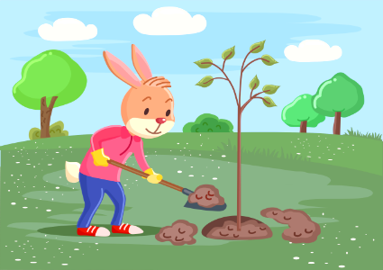 Rabbit plant the tree