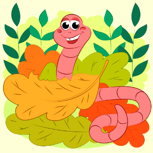 Worm