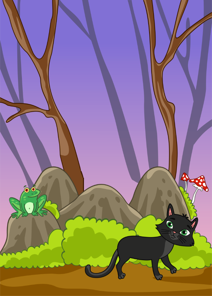 Black cat
