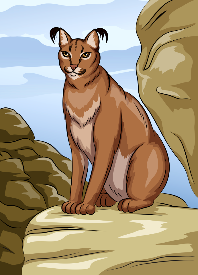 Caracal