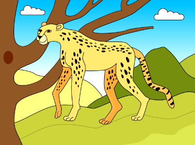 Cheetah