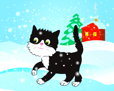 Cat winter