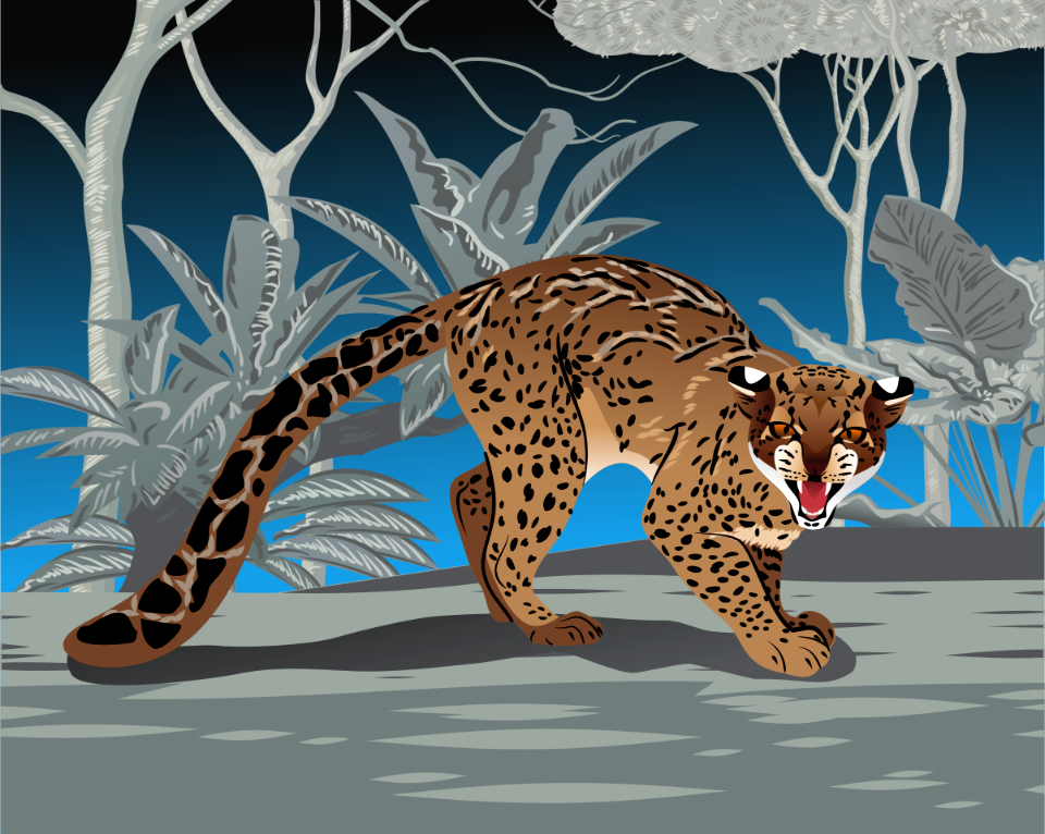 Marbled Cat