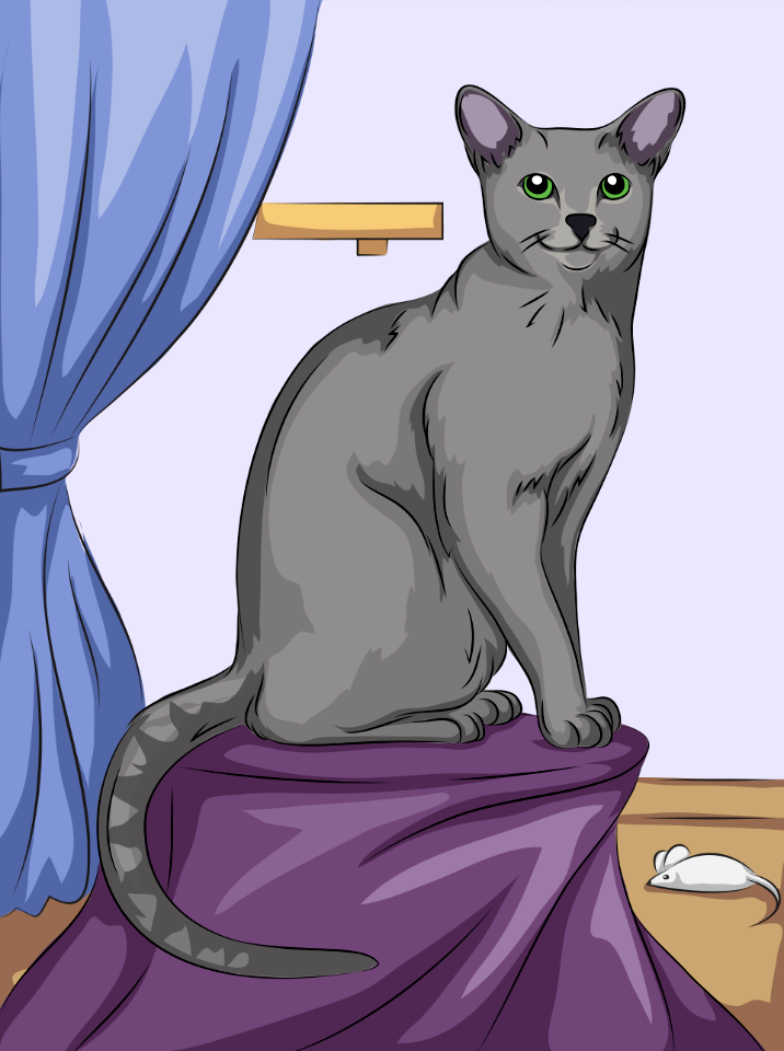 Russian Blue Cat