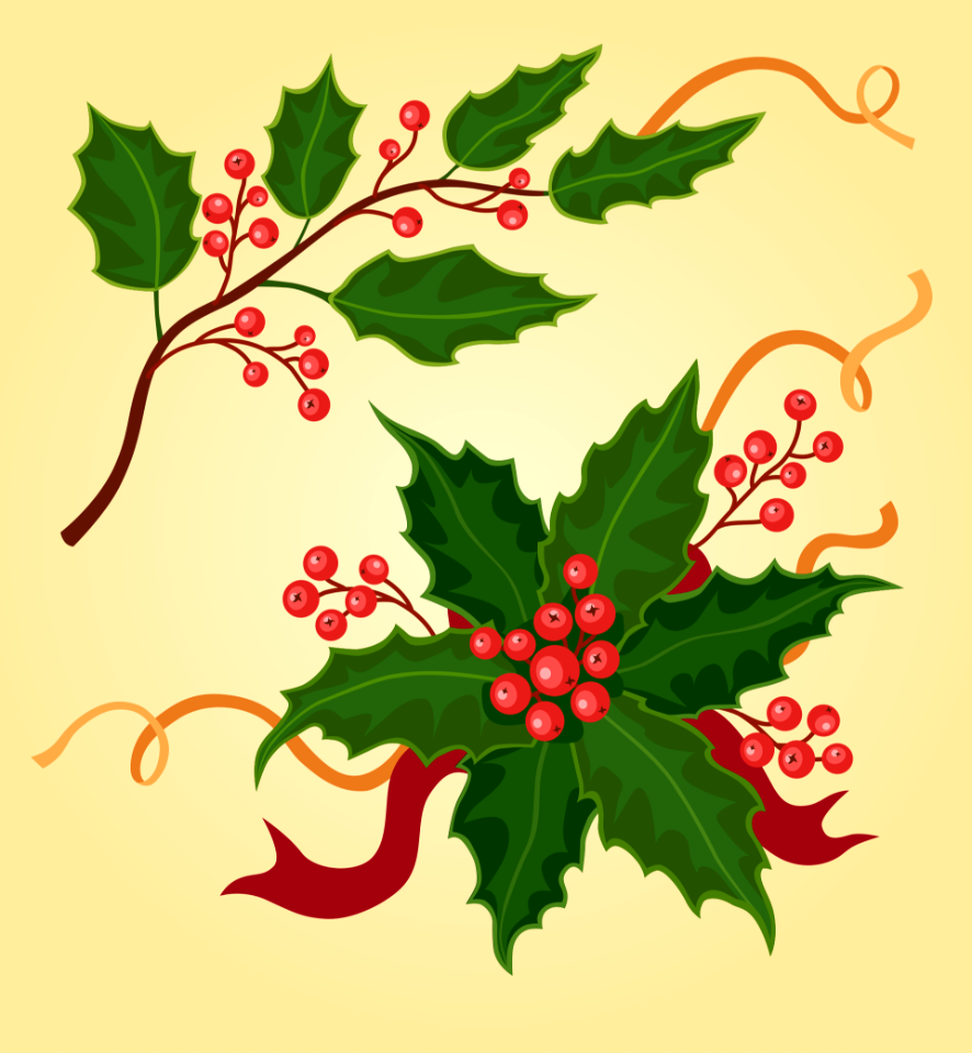 Holly