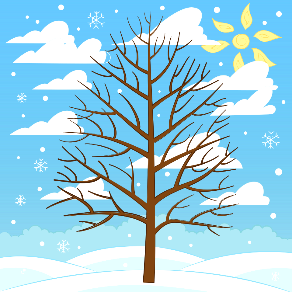 Winter tree