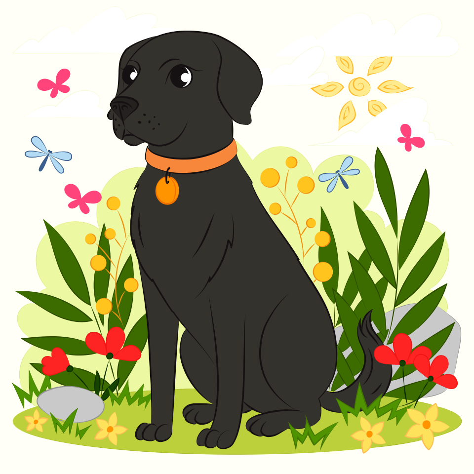 Black lab