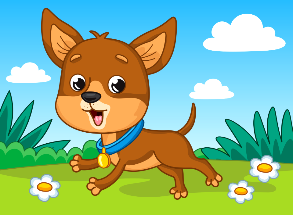 Chihuahua