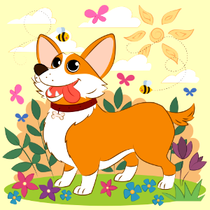 Corgi