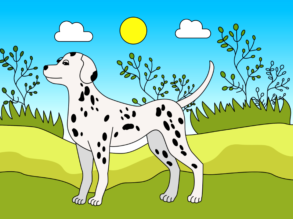 Dalmatian dog