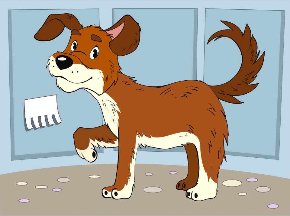 Dog