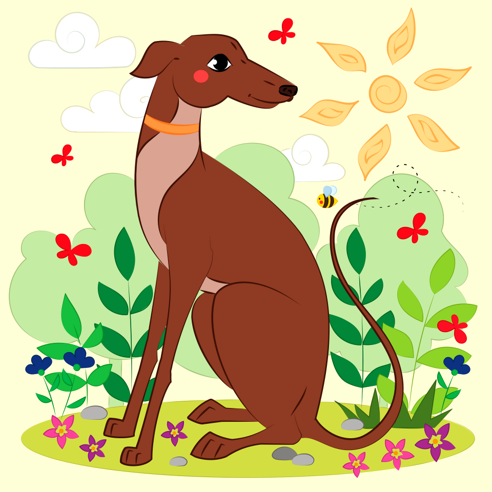 Greyhound
